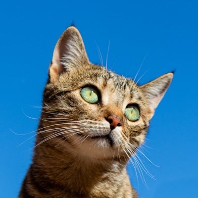 Erstelle dein Profil