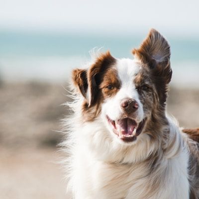Erstelle dein Profil